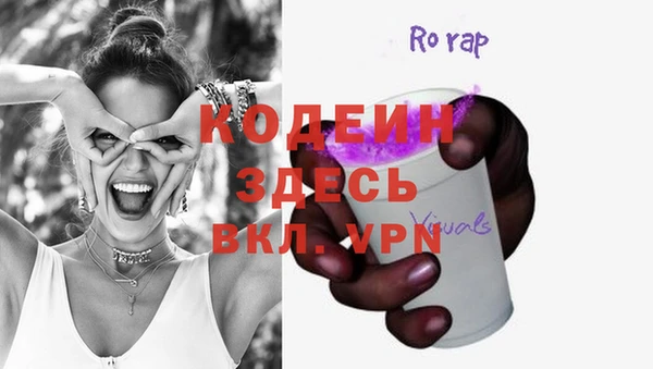 гашик Богданович