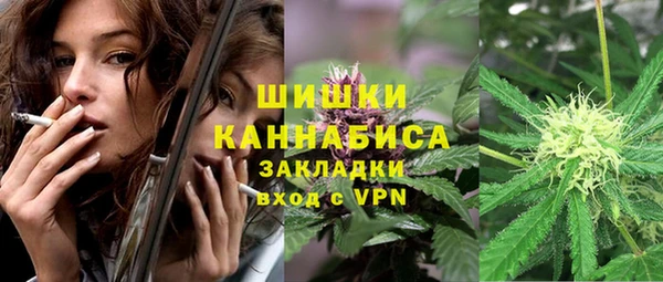 гашик Богданович