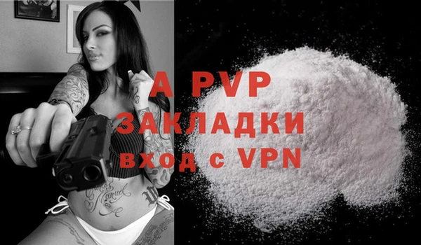 гашик Богданович