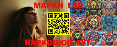 сатива Гатчина