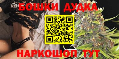 СК Гагарин