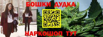 сатива Гатчина