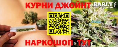 сатива Гатчина