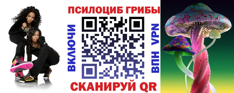 купить закладку  Наро-Фоминск  Галлюциногенные грибы GOLDEN TEACHER 
