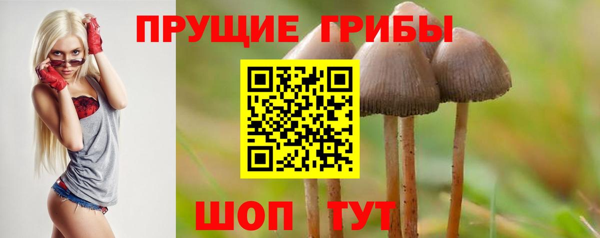 Псилоцибиновые грибы GOLDEN TEACHER Наро-Фоминск